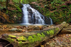 Highlight for Album: Martins Creek Falls