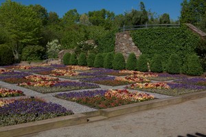 Highlight for Album: North Carolina Arboretum