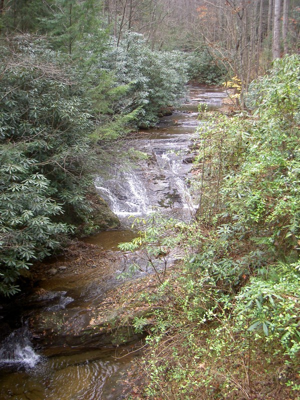 Some small falls and cascades on Devil Fork soon after starting on the Longarm Branch Trail