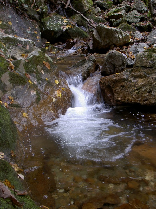 The creek just downstream from the falls