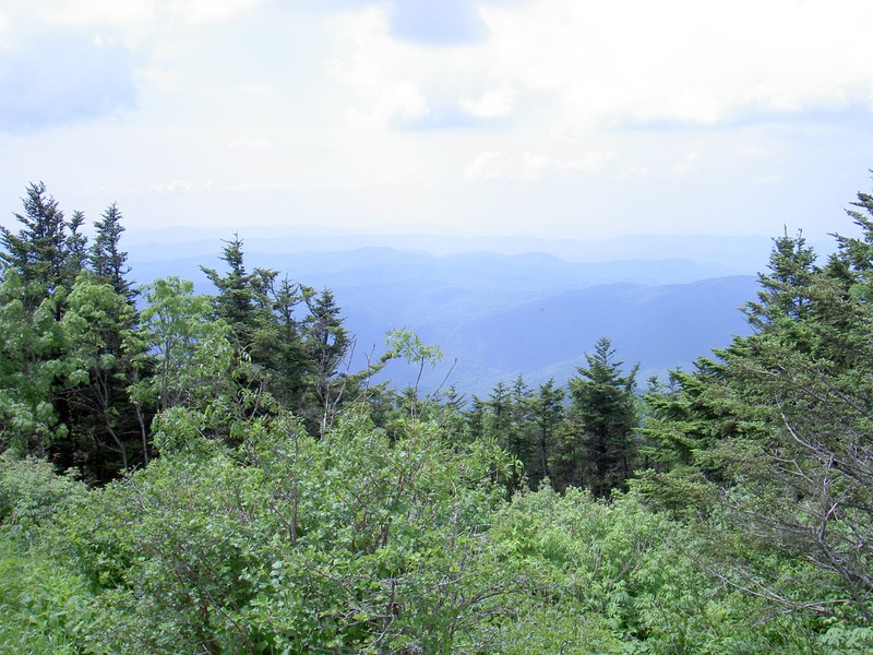 Not a lot of good vantage points from the top that aren't blocked by trees.