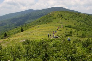 The balds above Carvers Gap were a busy place today