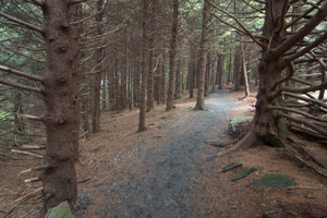 Decided to hike up on the balds