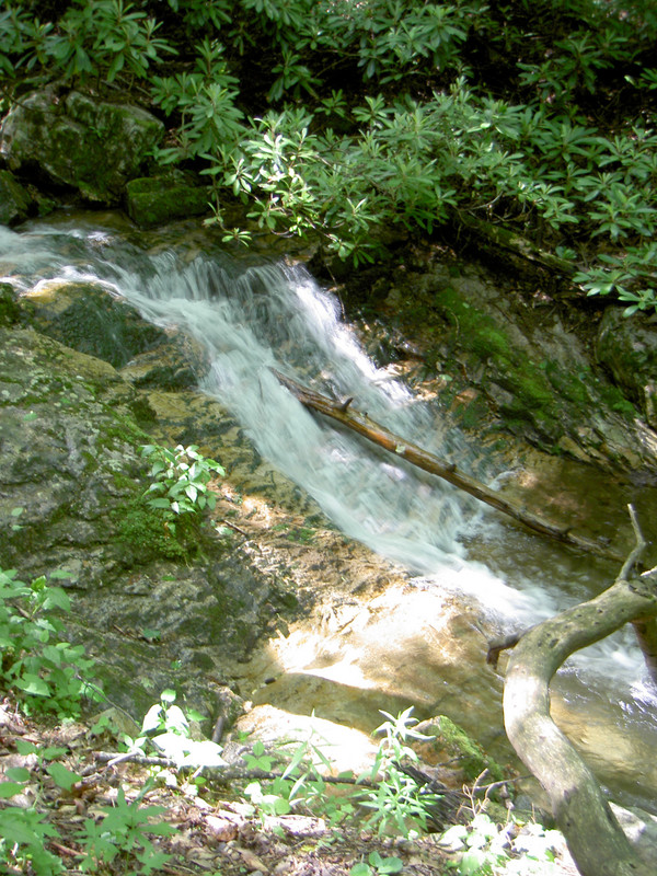 Some of Rock Creek on the trail towards the waterfall.