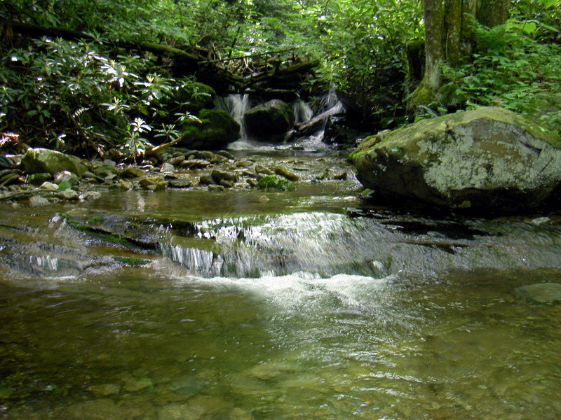 The creek must be crossed 4 times on the way to the falls.