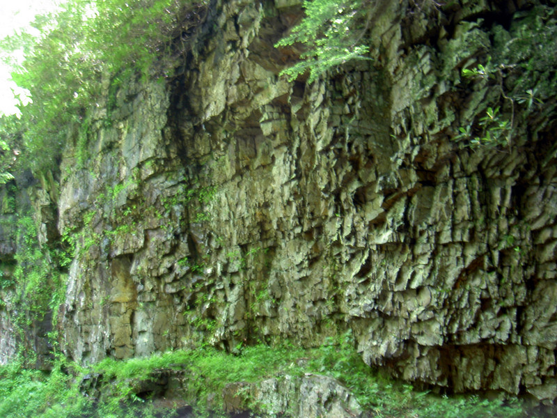 Cliff walls to the left of the falls. Basically a 50' tall horseshoe canyon with the falls at the apex.