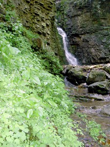 A very treacherous angle. INCREDIBLY slick rocks here from dripping water off the cliff walls. The plants were wet from it.