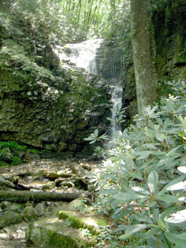 View of the falls further down the trail with some tree perspective.