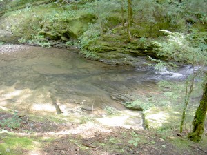 A few interesting little cascades and pools on Clarks Creek on the walk up to the trailhead