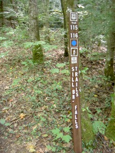 Just after the third bridge crossing after entering the CNF, the trailhead is on the left