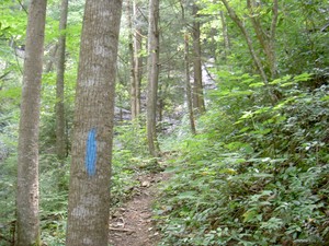 The trail is blue-blazed. The falls can barely be made out in the distance