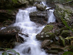 Some pretty cascades on up the North(?) fork of Sill Branch on CNF trail 115