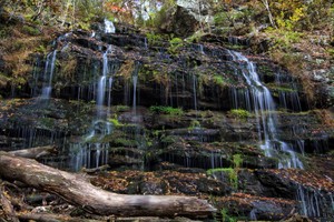 Highlight for Album: Station Cove Falls