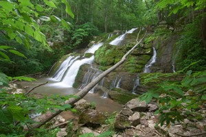 Logan Creek beside Hwy 80 close to where it empties into the North Fork of the Holston. Just south of Saltville VA.